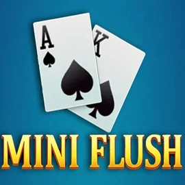 Mini Flush